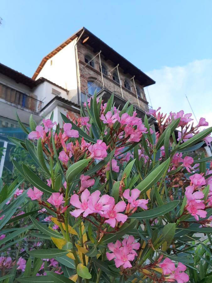 Le Case Di Angelina - Langhe Loft & Suites Farigliano Dış mekan fotoğraf